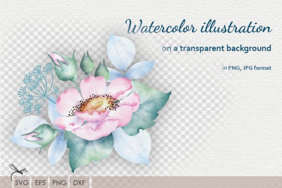 Download Watercolor Floral Illustrations Rosehip - Premium Resources